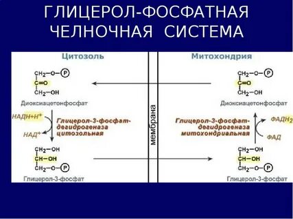 Глицерол это