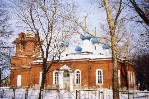 Фруктовая московская область