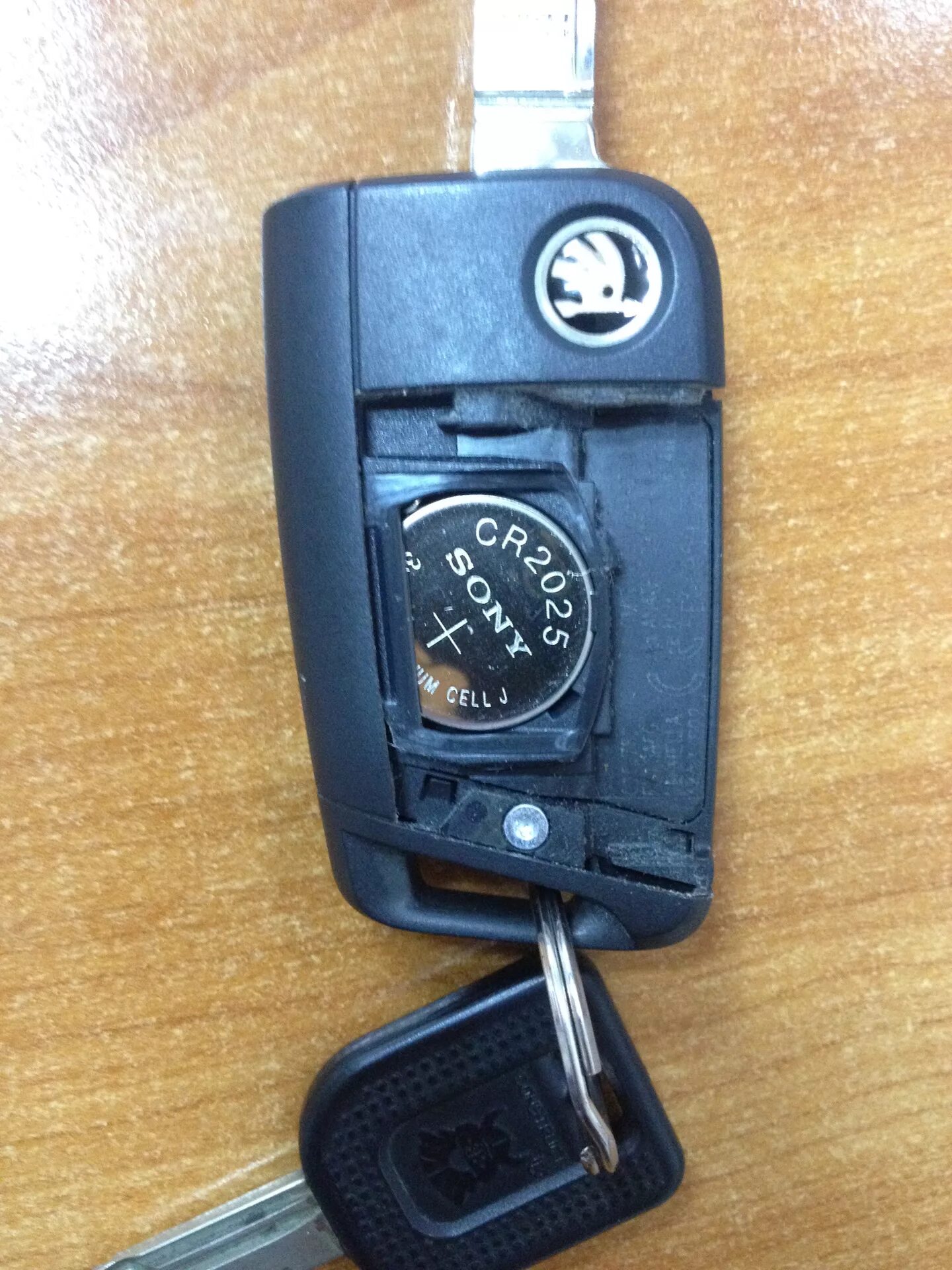 Батарейка в ключе шкода октавия а7. Skoda rapid 2 ключ зажигания. Замена батарейки ключ от skoda rapid. Батарейка в ключ шкода октавия а5. Брелок шкода октавия а7.