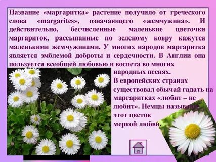Происхождение названий растений