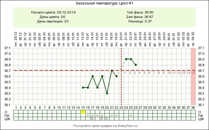 Базальная температура при задержке месячных. Во второй фазе базальная температура 37.1. Беременный график базальной температуры до задержки. БТ при беременности на ранних до задержки. Таблица базальной температуры при беременности.