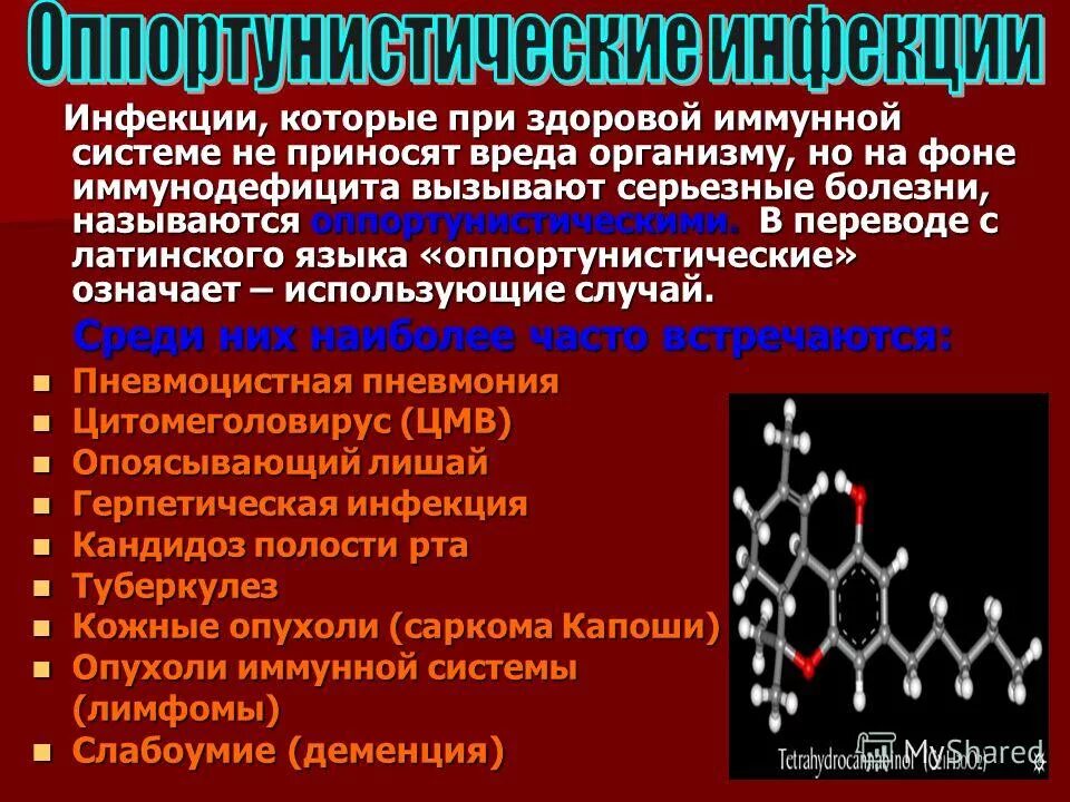 Инфекция латынь. Оппортунистические инфекции. СПИД оппортунистические инфекции. Оппортунистические инфекции при ВИЧ. Оппортунистические бактерии.