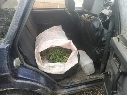 Новости гулькевичи на сегодня