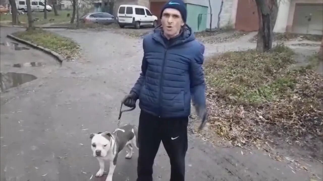 Стрим мопс пес. Мопс дядя пес залип. мопс стример. мопс vjlink. мопс дядя пес втыкает.