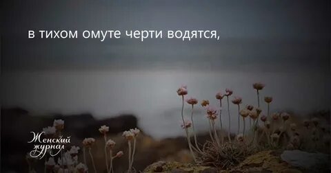 В тихом омуте черти