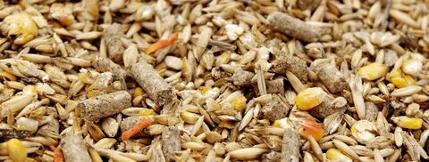 Комбикорма корма животных