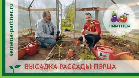 Фирма партнер теплицы