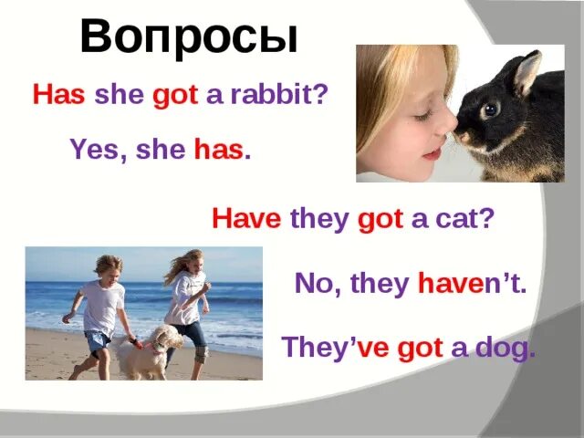 She has got a Cat. Yes, she has вопрос. Yes she has got. They have got a Cat задать вопрос.