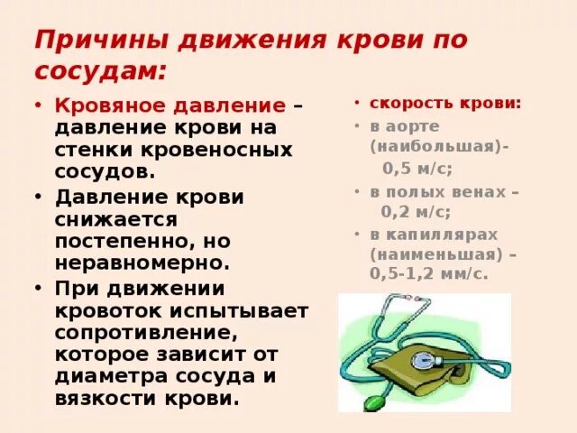 Давление биология 8 класс. Движение крови по сосудам. Давление крови. Скорость движения крови. Движение крови по артериям.