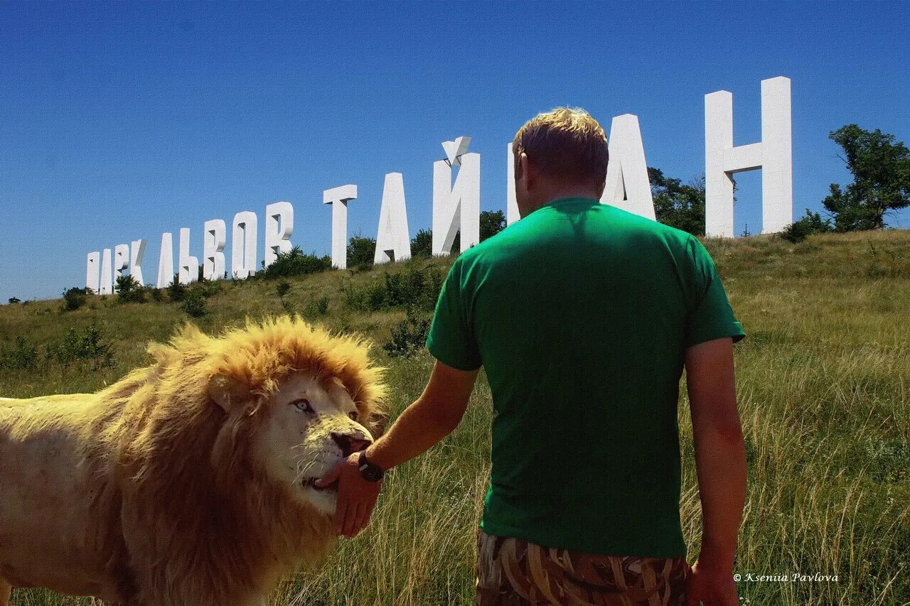 Тайган блог. Блог олега зубкова парк львов тайган. смерти львов в тайгане. олег зубков слон. медведь блондин арсений.