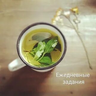 Pennyroyal tea