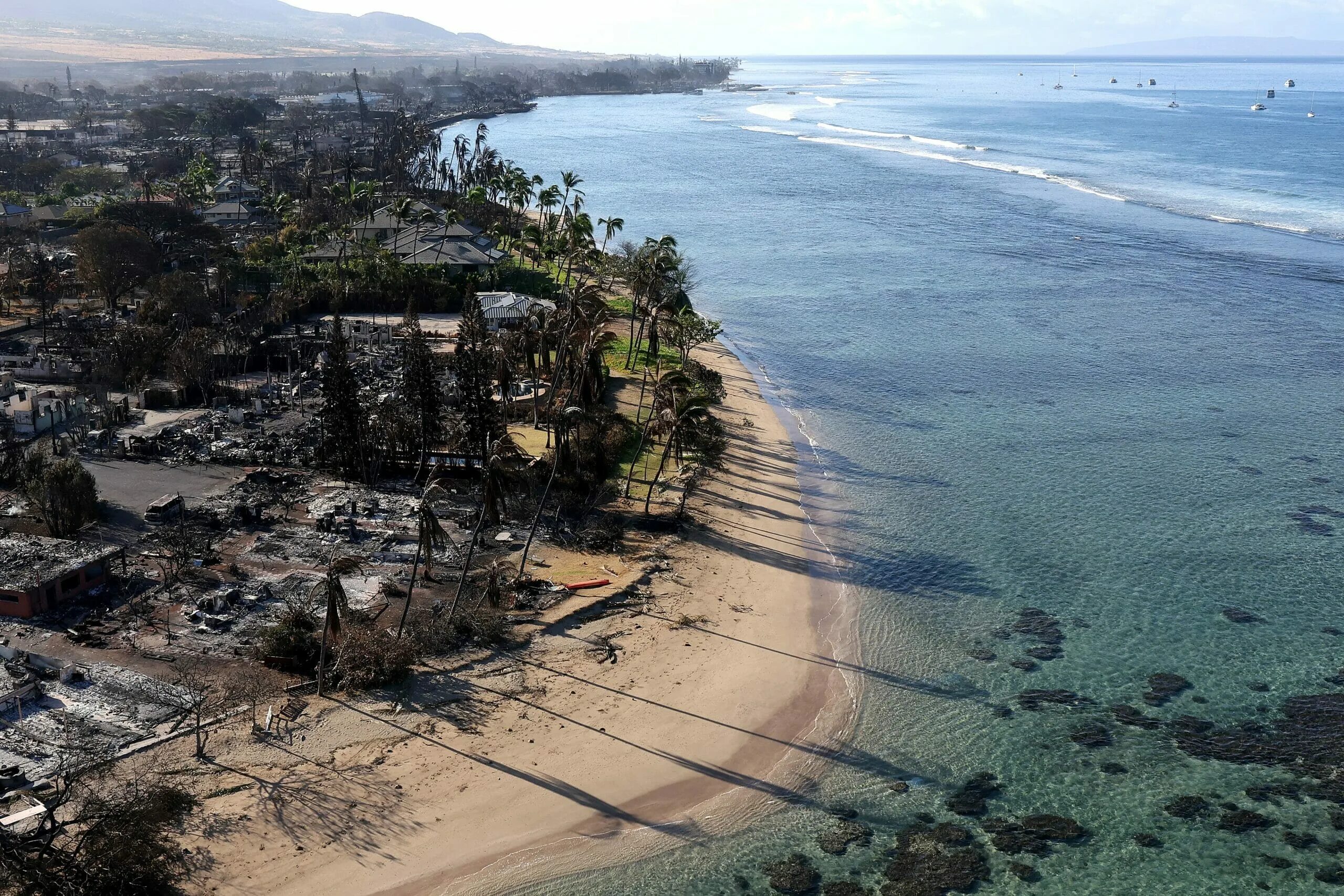 Город кипи. Остров Мауи Гавайи. Гавайи до пожара. Гавайи 2023. Остров Мауи Гавайи 2024.