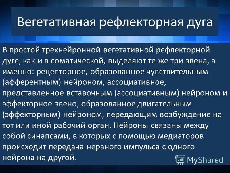 Вегетативные рефлексы головного мозга