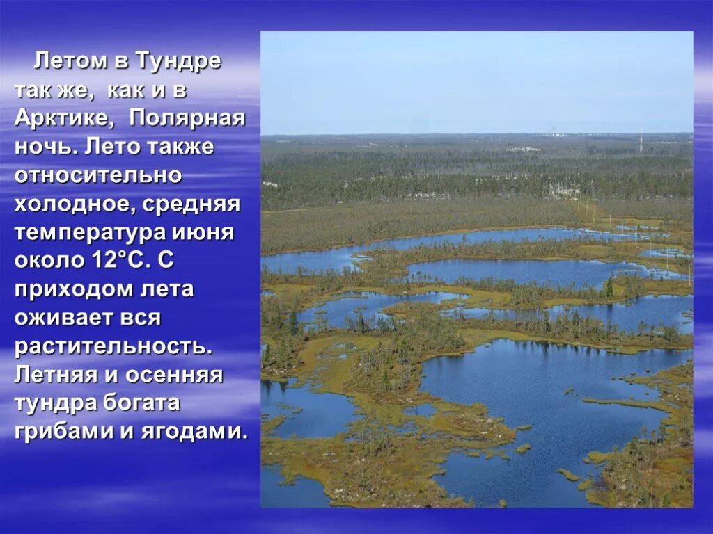 Климат тундры. Зона лесотундры климат. Климат тундры и лесотундры в россии. Зона тундры средняя температура. Зона тундры средняя температура.