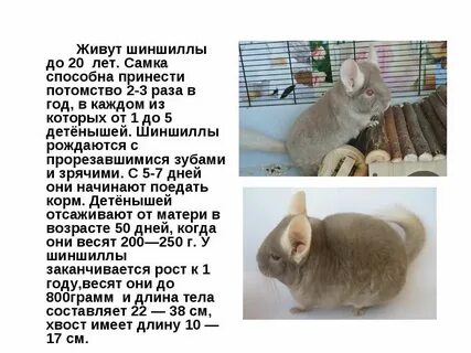 Где живет сколько лет