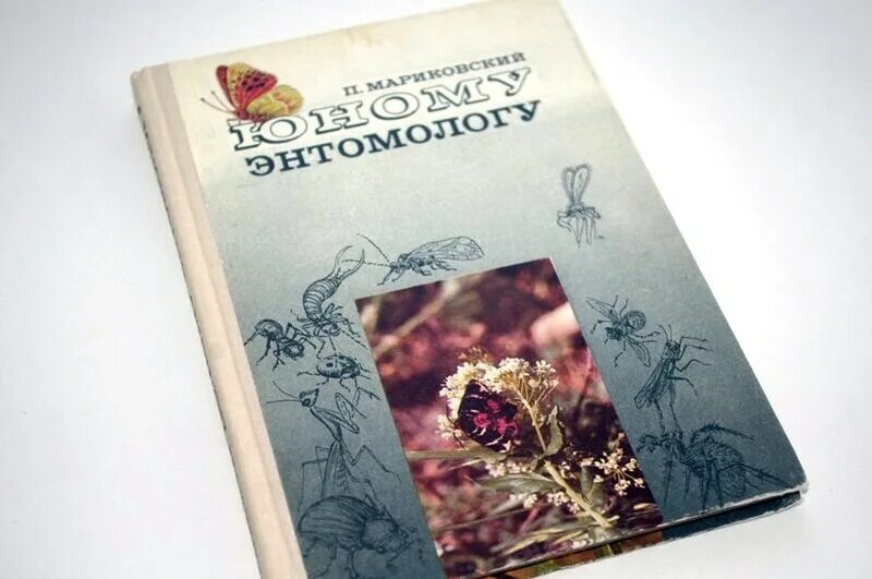 Книги он младше ее. Юный энтомолог. энциклопедия юного энтомолога. книги юный энтомолог 2025г. обложка книги юный энтомолог.