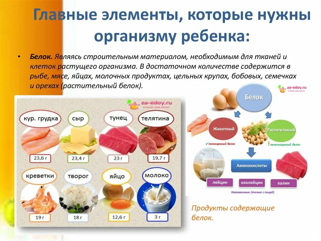 С какого возраста можно белок ребенку. Белок строительный материал для организма. Белок основной строительный материал организма. Белковая еда для детей. Белки для организма продукты.