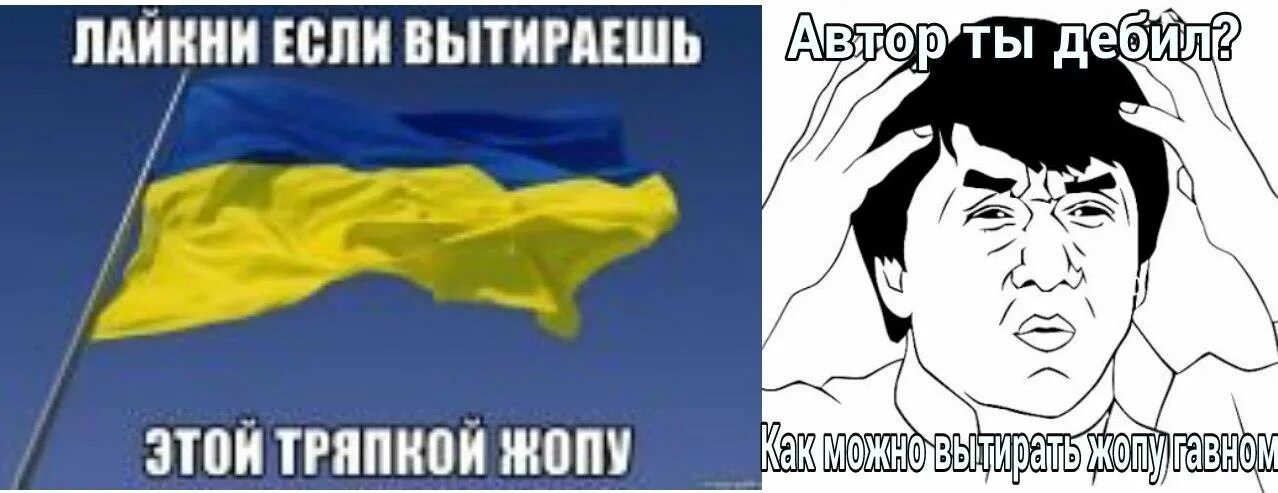 Че це. Флаг Украины тряпка. Украинский флаг в очко. Флаг Украины мемы. Мемы про Украину.