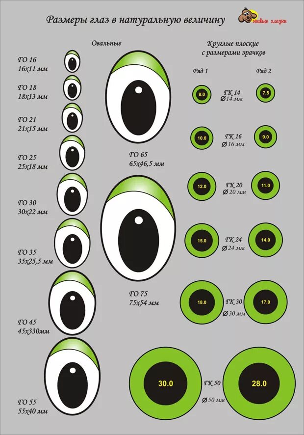 Средний размер глаз. Размер глаз. Среднестатистический размер глаза. Размер глазного яблока.