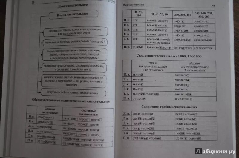 Тематический тренинг по русскому языку ЕГЭ 2021. Пособие Сениной. Справочник для подготовки к ЕГЭ по русскому языку 2023. Сенина ОГЭ 2023 русский. Тренинг по русскому языку егэ 2024 сенина