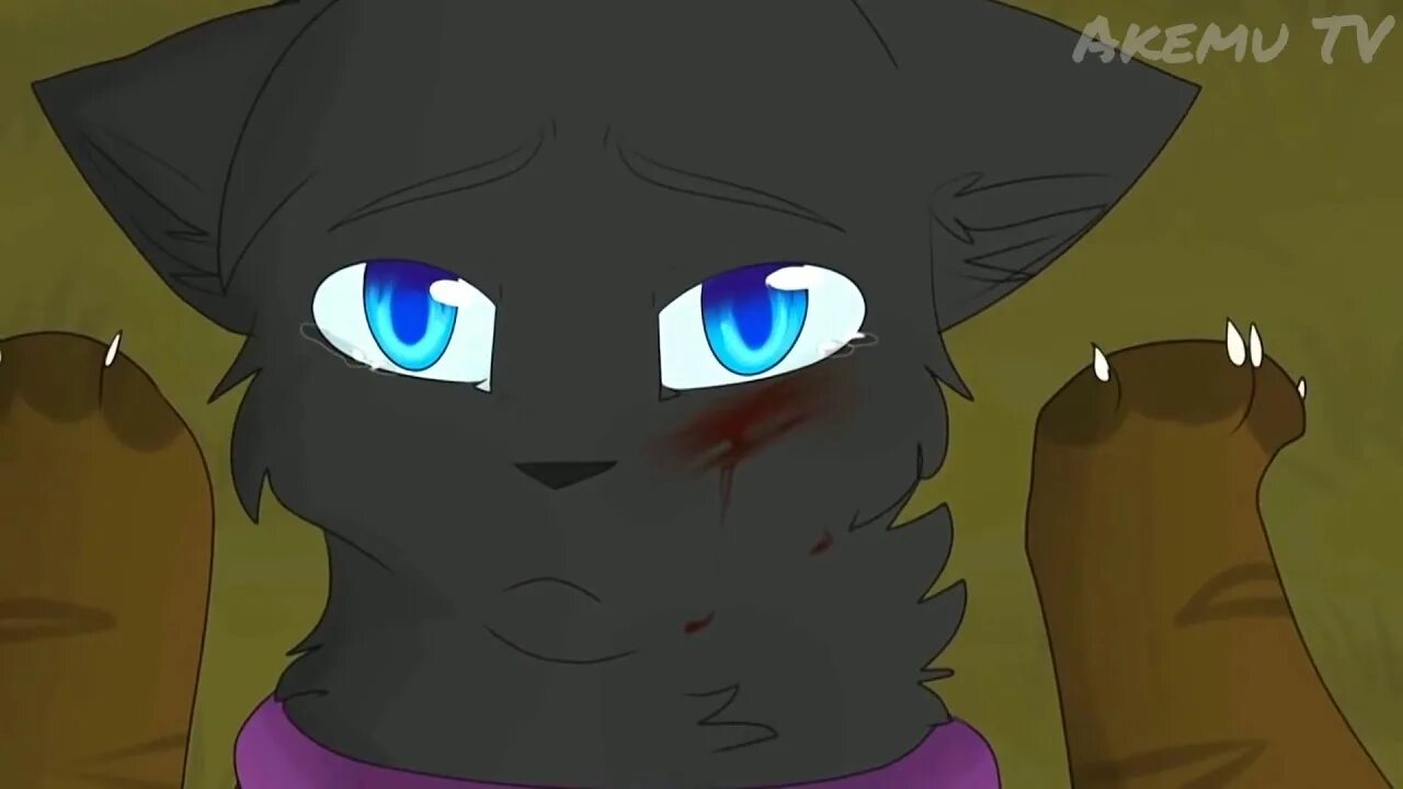 Коты воители бич песня. Коты воители бич кровавый. Бич коты воители вики. Коты воители белогривка. Коты воители бич и огнезвезд.