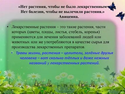 Лекарственные растения в жизни человека