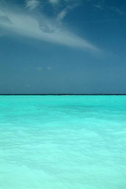 Johnny Cay San Andres - Geographic Media