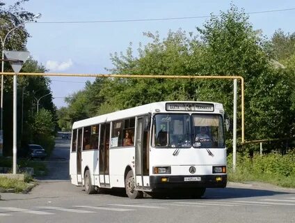 Автобус лесной