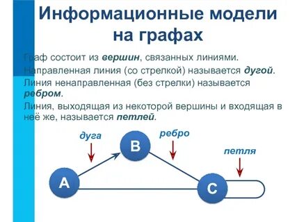 Как называется направленная линия