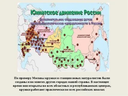 Юннатское движение первых