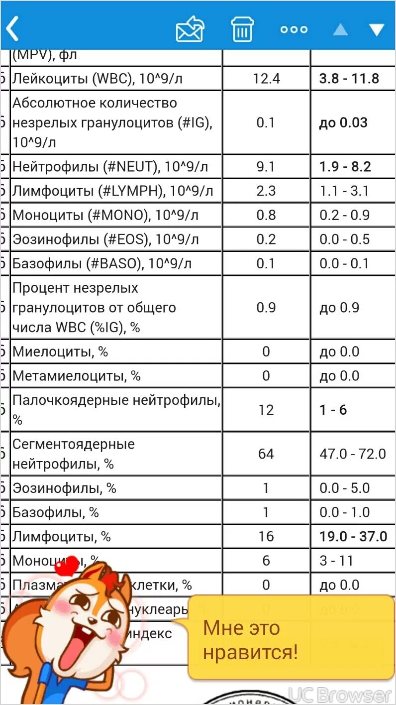 Сегментоядерные нейтрофилы у беременных. Нейтрофилы норма при беременности 3. палочкоядерные лейкоциты норма. нейтрофилы анализ крови беременных. нейтрофилы при беременности 3 триместр норма.