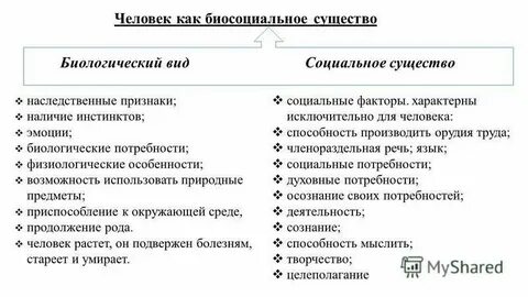 Биологические социальные качества человека примеры