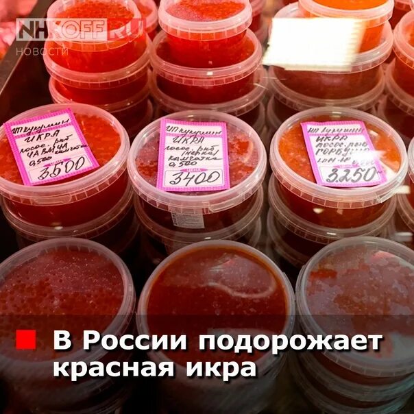 Маркировка икры лососевых. Икра лососевая. маркировка икры. маркировка икры осетровых. икра камчатка.