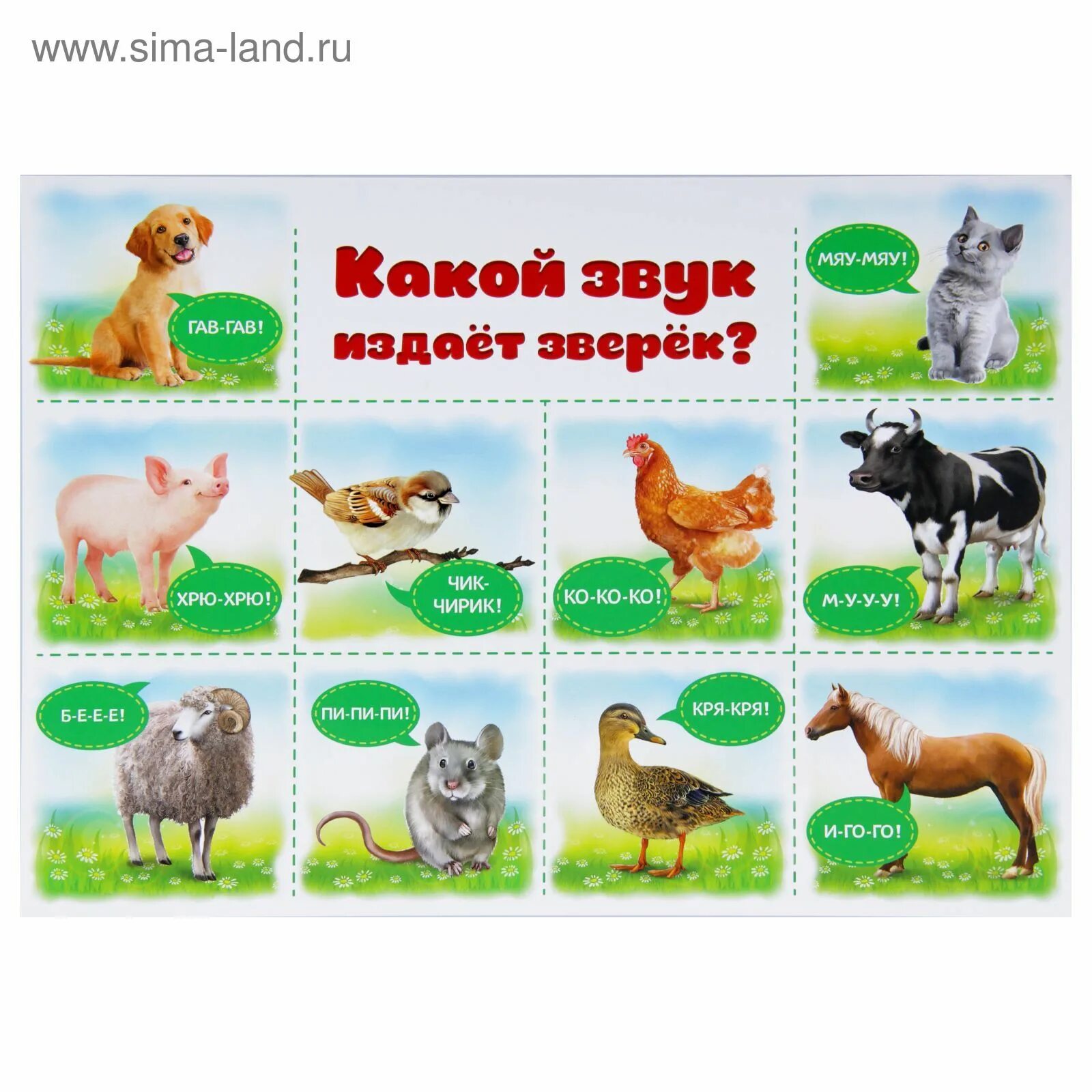 Какие буквы издают звук. Звуки животных для детей. Карточки для детей звуки животных для малышей. Обучающие плакаты домашние животные. Животные издают звуки.