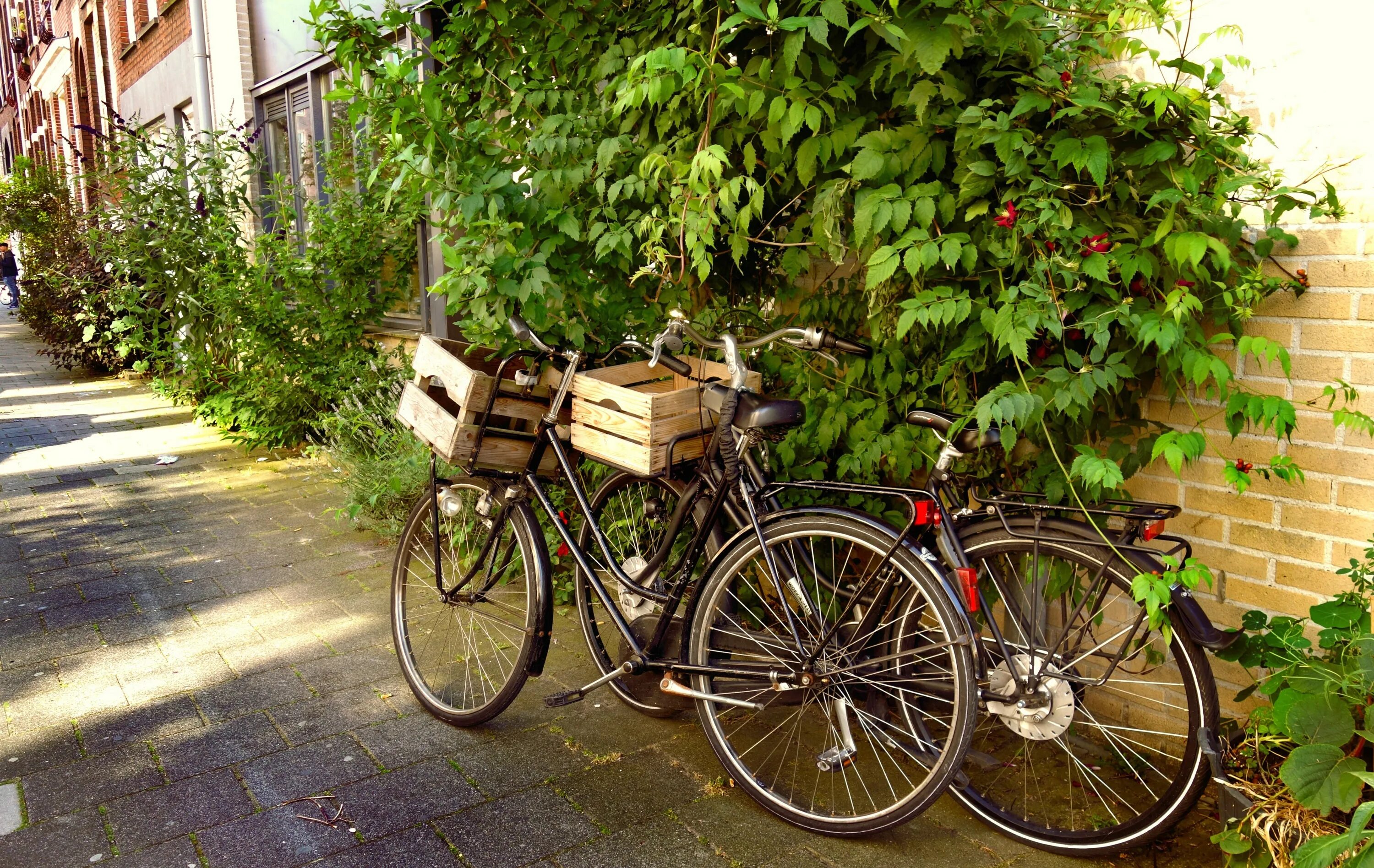 Велосипед в хорошем состояние. Старый велосипед. Велосипед на улице. Велосипед в городе. Красивый городской велосипед.