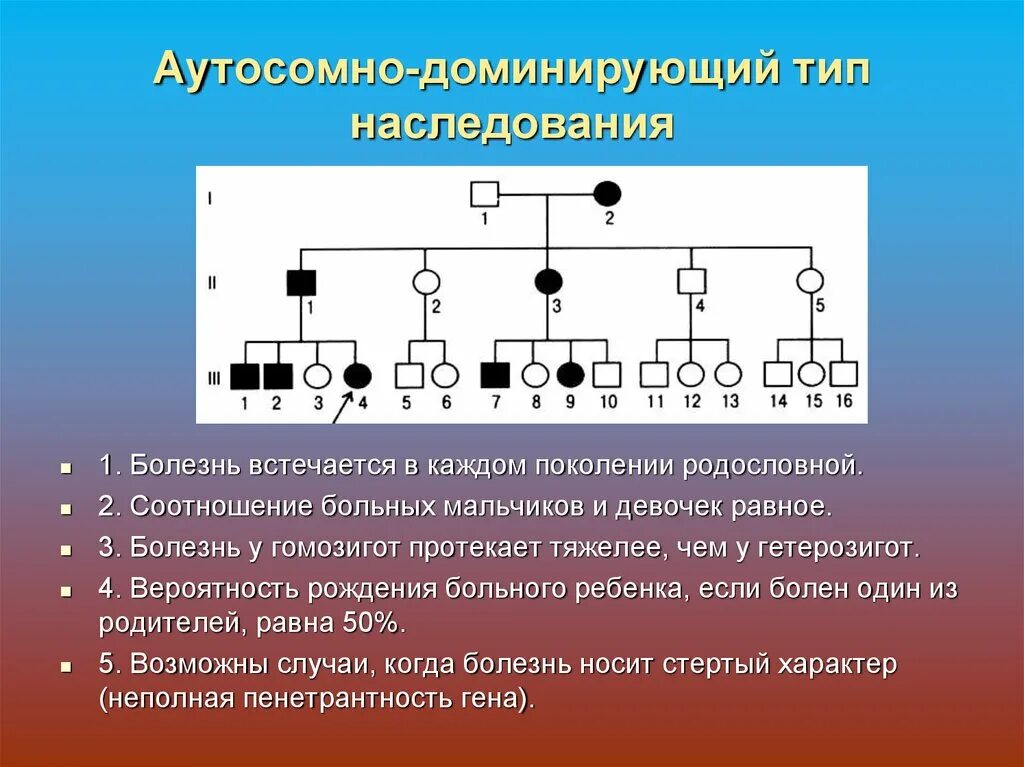 Схема родословной на аутосомно-доминантный Тип наследования. Родословная рецессивный Тип наследования. Аутосомно-рецессивный Тип родословная. Родословная с аутосомно-доминантным типом наследования.