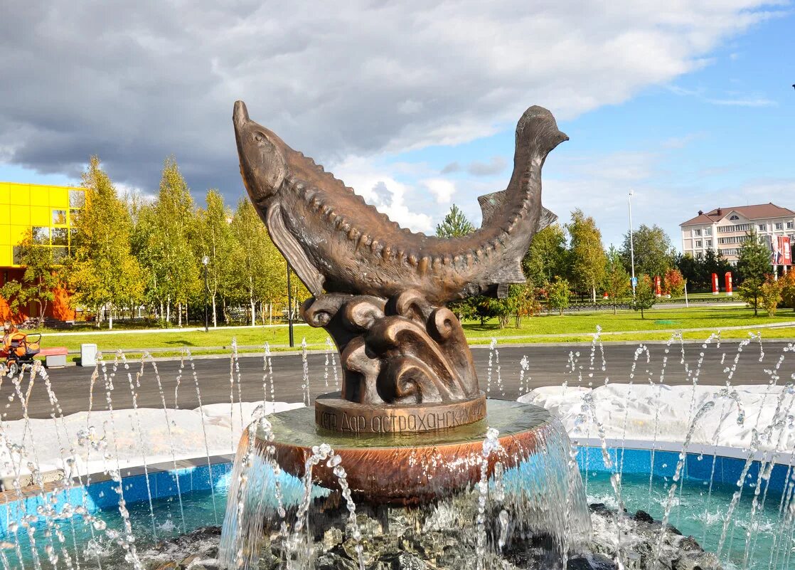 лангепас рыба. рыбное место лабытнанги. лангепас рыба. лангепас лотос памятник. рыбалка на реке битюг.