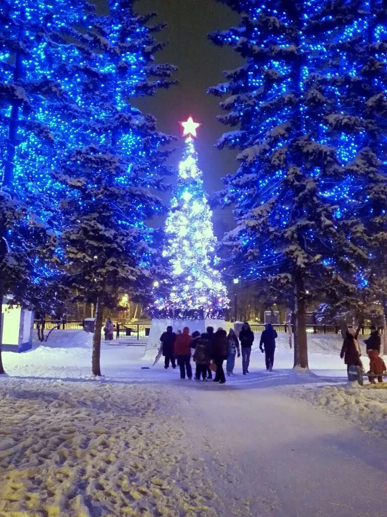 Добавлю новый фото. ГПНТБ Новосибирск зимой. Новогодний парк. Зима новый год. Новогодняя ночь.