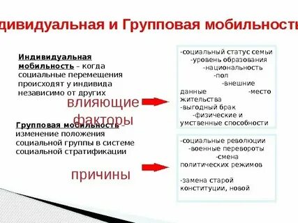 Индивидуальную и групповую коллективную мобильность