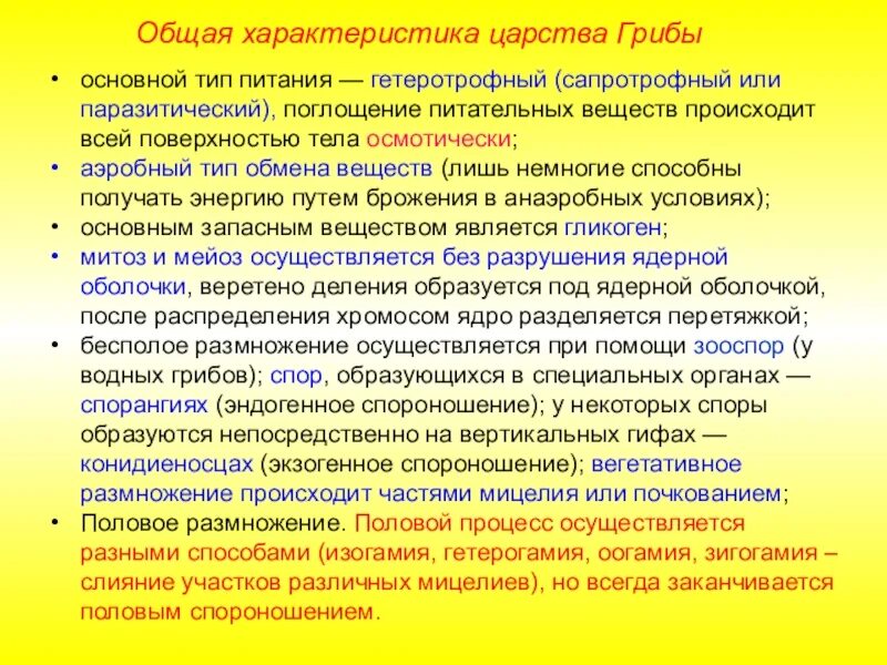 Признаки грибов 7 класс. Особенности царства грибов кратко. Характеристика царства грибов. Основные признаки царства грибы. Царство грибы общая характеристика.