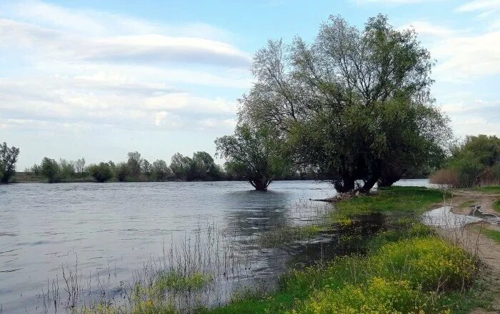 Вода в реке астрахань. Река Сомовка Астраханской области. Селитренное в половодье. Нижнекамское водохранилище. Разливы рек в Астраханской области.
