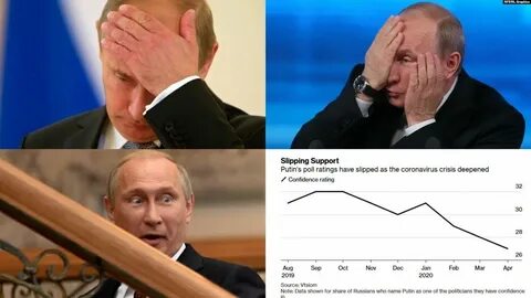 Два вовы