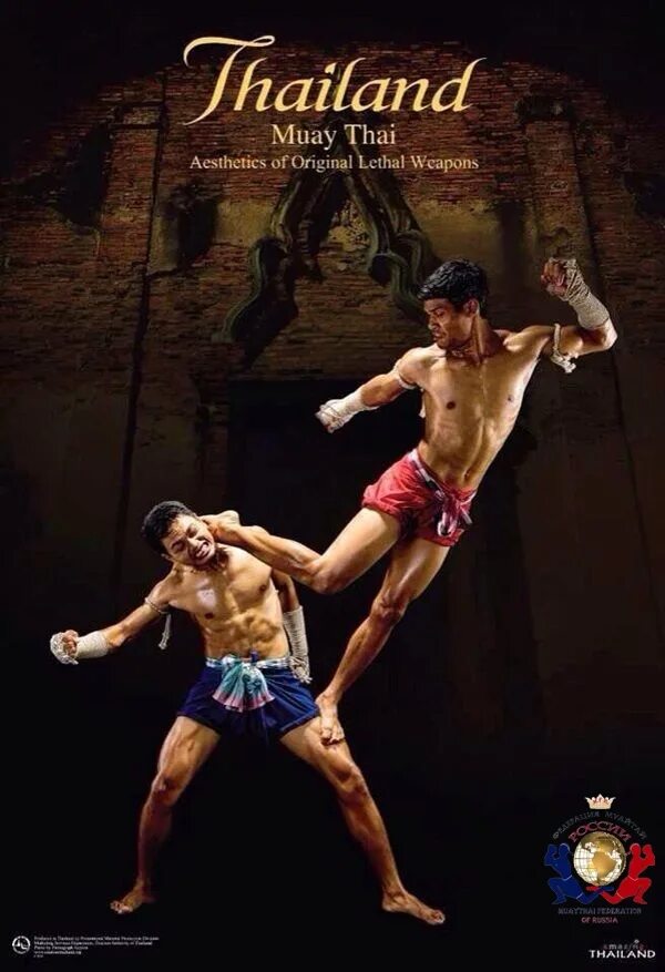 всемирный день муай тай. тайский бокс иллюстрации. всемирный день тайского бокса. день муай тай. всемирный день муай тай.