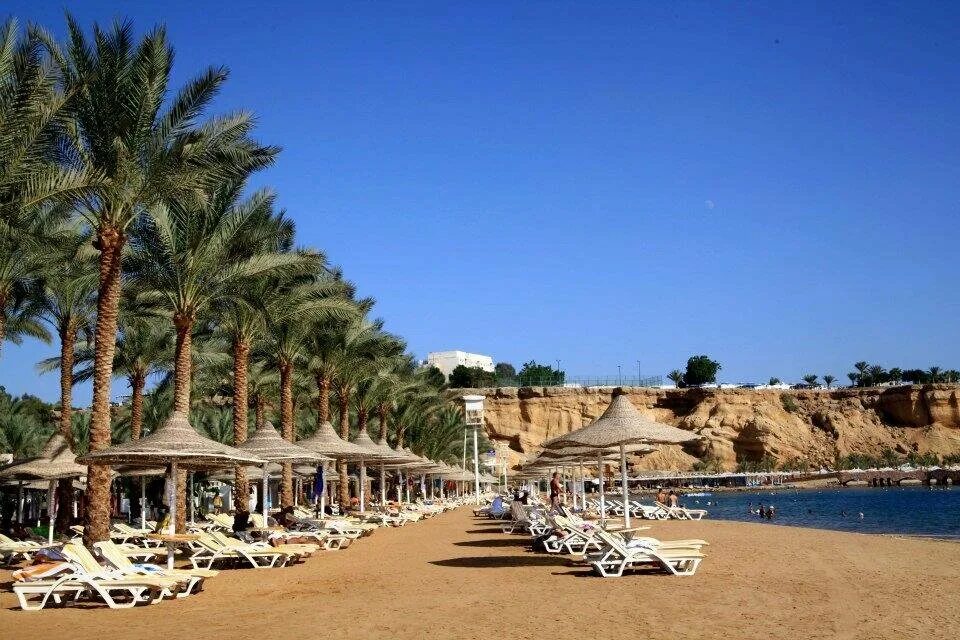 Seti sharm египет шарм эль шейх. Fun sun smart seti sharm 4 шарм-эль-шейх. отель dessole seti sharm resort 4. dessole египет шарм-эль-шейх. dessole seti sharm resort (шарм-эль-майя).