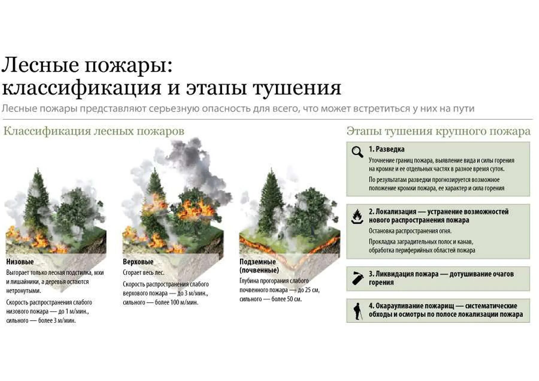 Виды лесных пожаров. Классификация лесных и торфяных пожаров. Классификация природных пожаров Лесные. Типы горения лесных пожаров. Признаки лесного пожара.