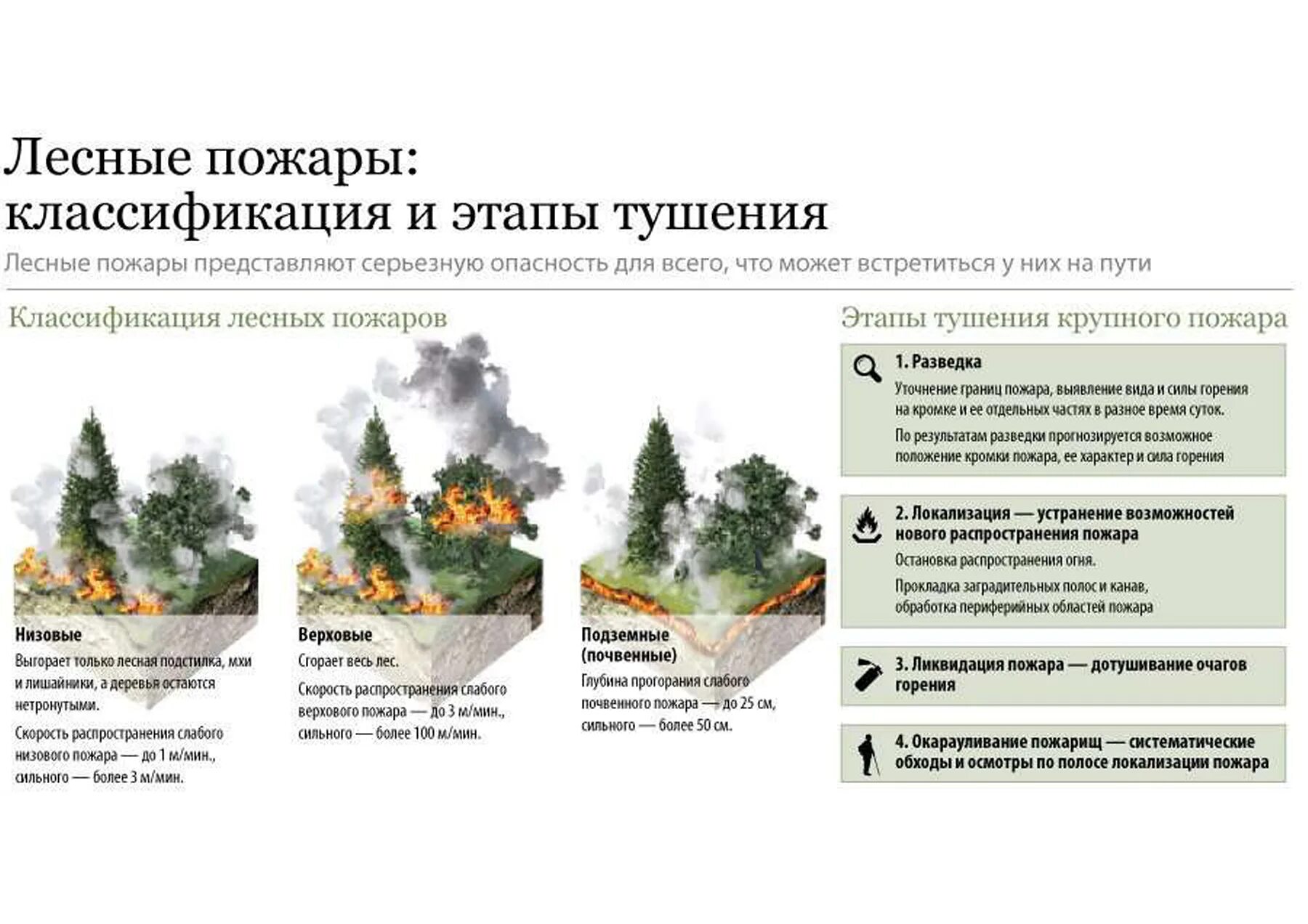 Верховые низовые подземные. Схема ликвидации пожаров лесных. Классификация лесных пожаров схема. Классификация лесных и торфяных пожаров по силе. Классификация лесных и торфяных пожаров схема.