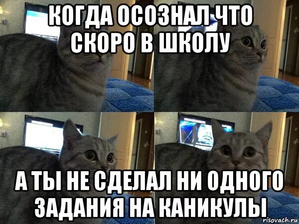 Поставить ни