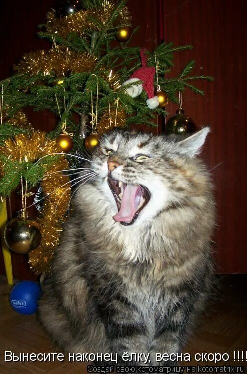 Я тебя подожду стихи. Белая гвардия текст. Бергамасская сюита. Песня я подожду другого. Снегопад ноты.