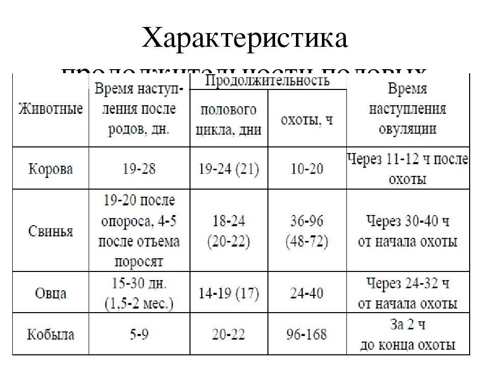 Сколько длится акт. Фазы полового цикла у животных. стадии полового цикла у животных. характеристика полового цикла. продолжительность полового цикла у коров.