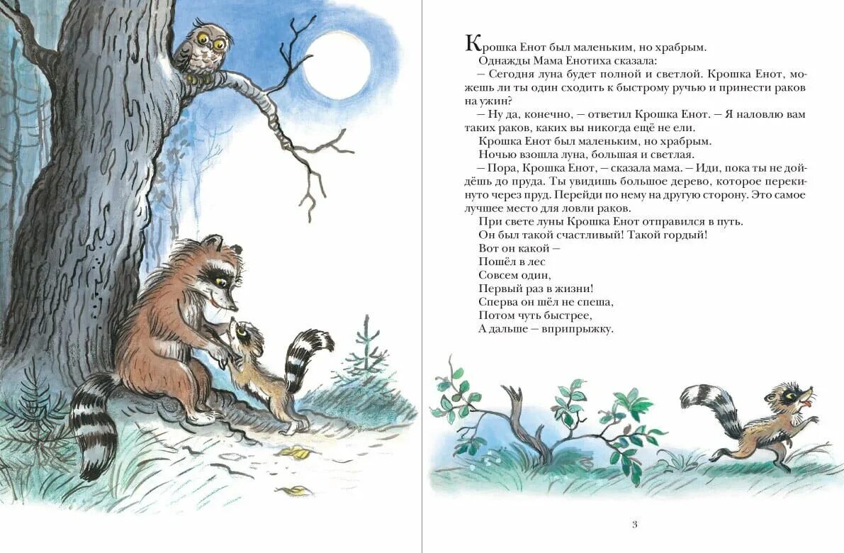 Крошка енот 1974. Сказки-мультфильмы. "крошка енот. Сказка крошка енот и тот кто сидит в пруду. Крошка енот сказка.